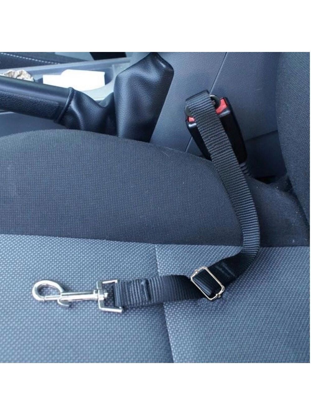 SpongeBob SquarePants Adjustable Dog Seat Belt - Picture 3 of 4